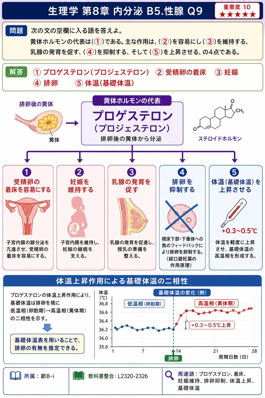 次の文の空欄に入る語を答えよ。 黄体ホルモンの代表は(①)である。主な作用は、(②)を容易にし(③)を維持する、乳腺の発育を促す、(④)を抑制する、そして(⑤)を上昇させる、の4点である。 解説図