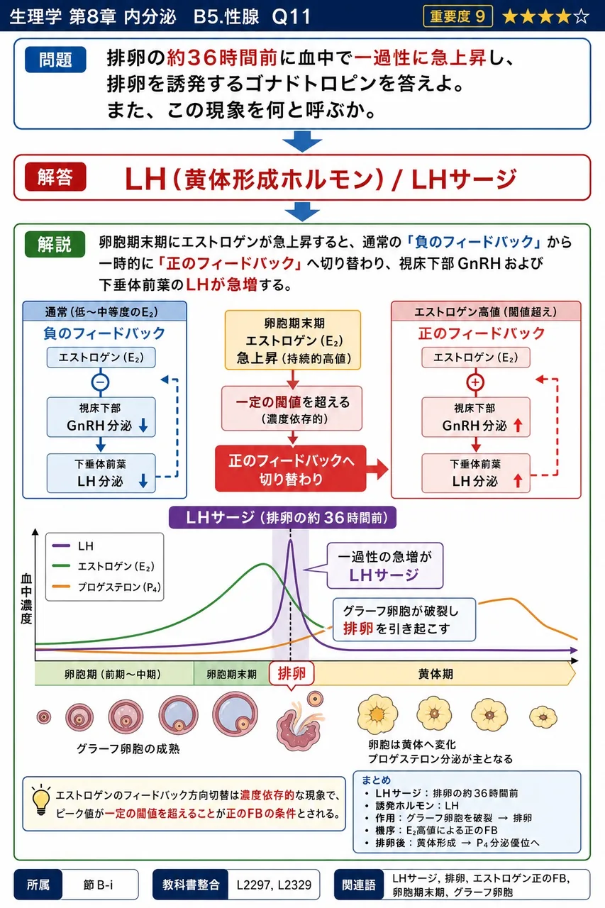 排卵の約36時間前に血中で一過性に急上昇し、排卵を誘発するゴナドトロピンを答えよ。また、この現象を何と呼ぶか。 解説図