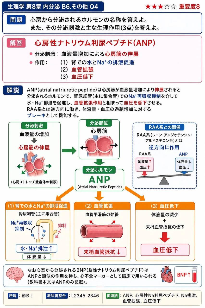 心房から分泌されるホルモンの名称を答えよ。また、その分泌刺激と主な生理作用(3点)を答えよ。 解説図
