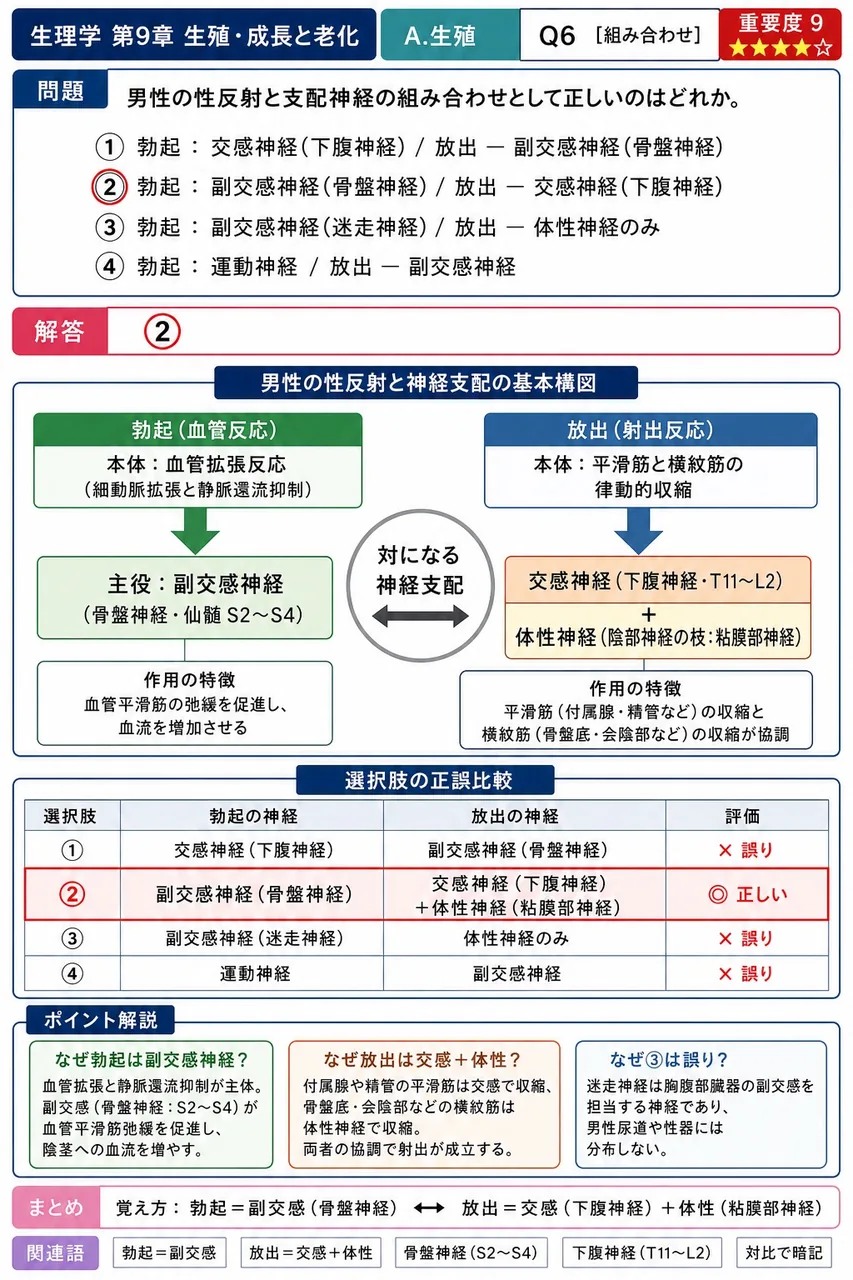 男性の性反射と支配神経の組み合わせとして正しいのはどれか。 解説図