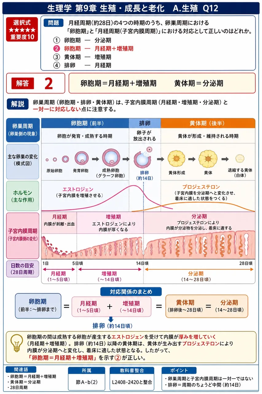 月経周期(約28日)の4つの時期のうち、卵巣周期における「卵胞期」と「月経周期(子宮内膜周期)」における対応として正しいのはどれか。 解説図