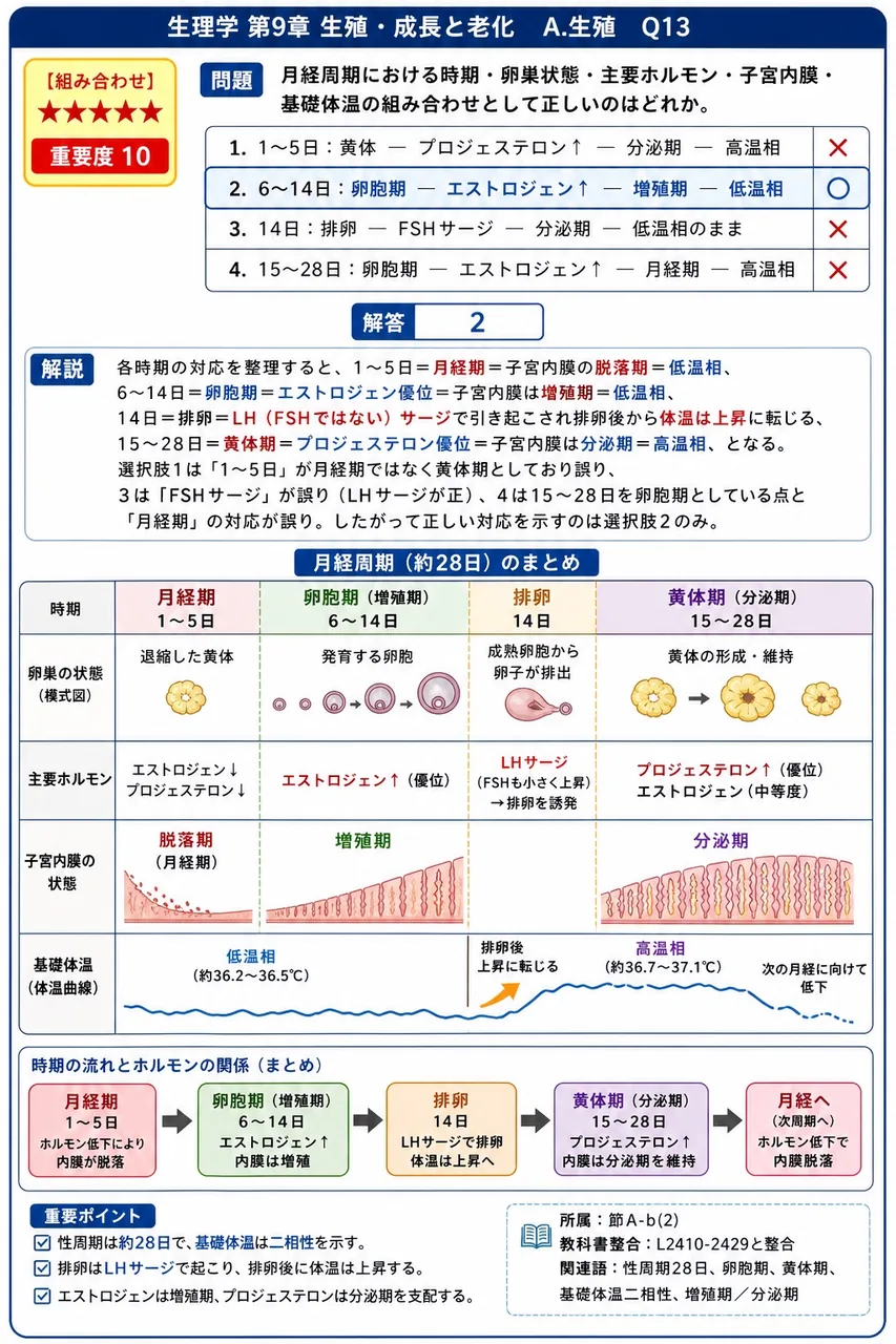 月経周期における時期・卵巣状態・主要ホルモン・子宮内膜・基礎体温の組み合わせとして正しいのはどれか。 解説図
