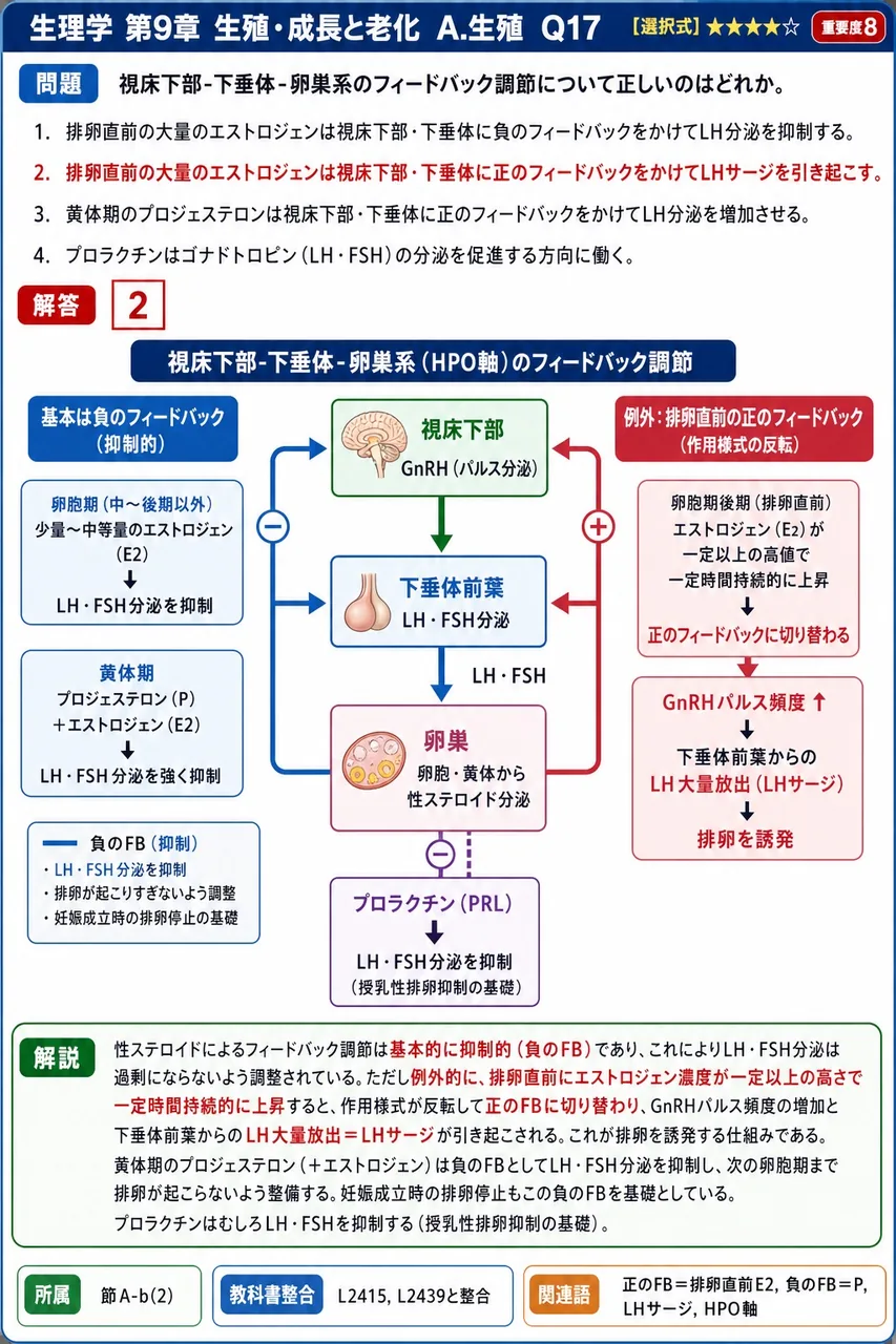 視床下部-下垂体-卵巣系のフィードバック調節について正しいのはどれか。 解説図
