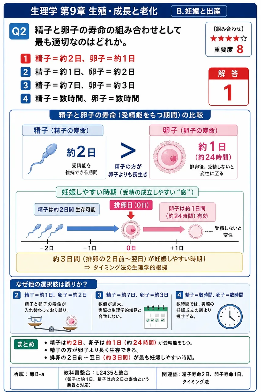 精子と卵子の寿命の組み合わせとして最も適切なのはどれか。 解説図