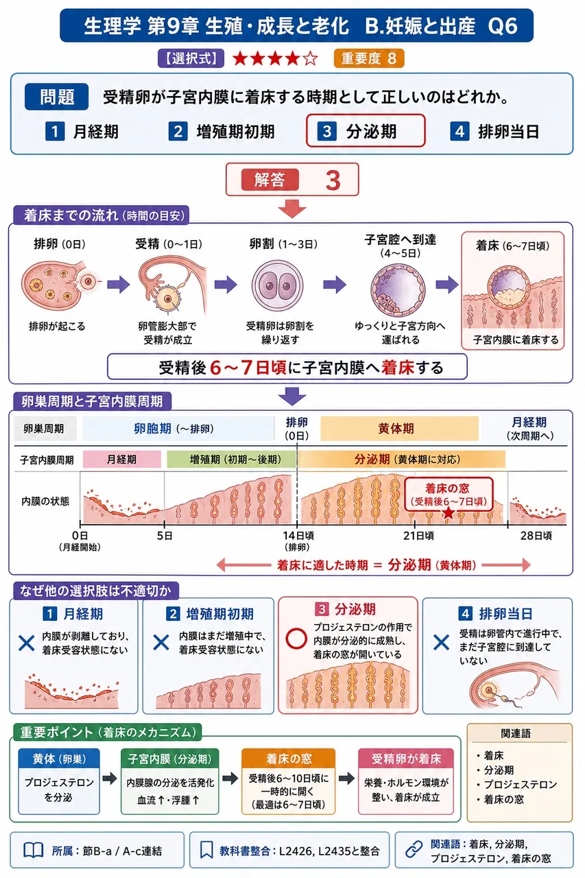 受精卵が子宮内膜に着床する時期として正しいのはどれか。 解説図