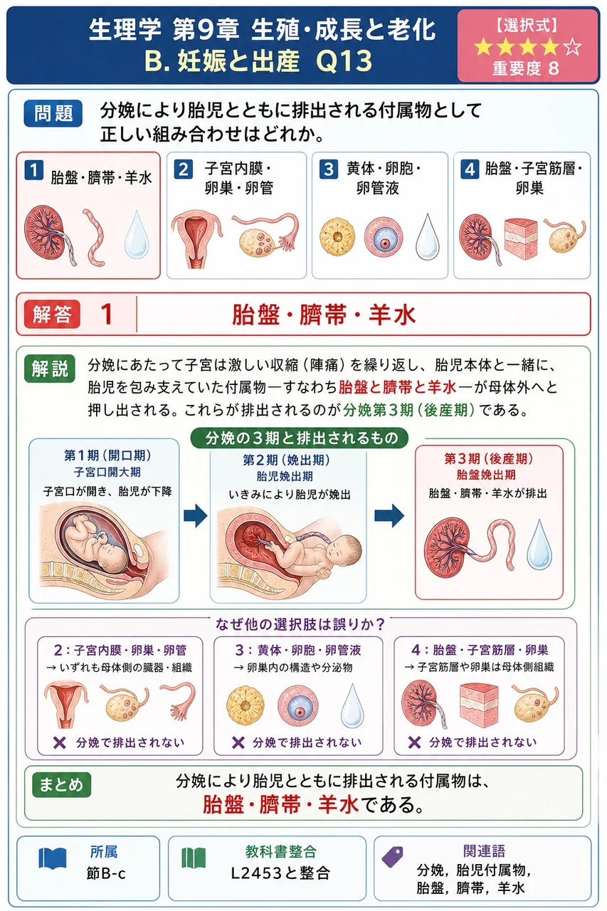 分娩により胎児とともに排出される付属物として正しい組み合わせはどれか。 解説図