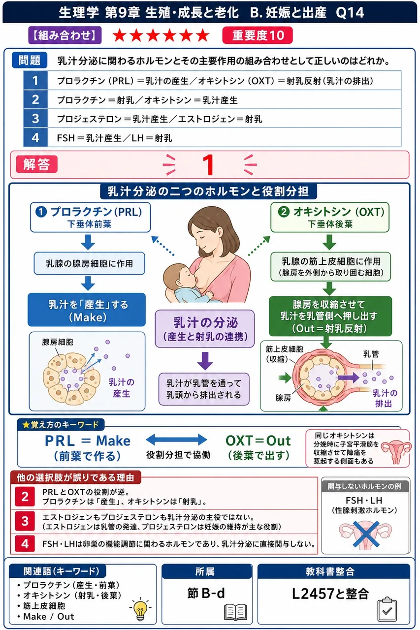 乳汁分泌に関わるホルモンとその主要作用の組み合わせとして正しいのはどれか。 解説図
