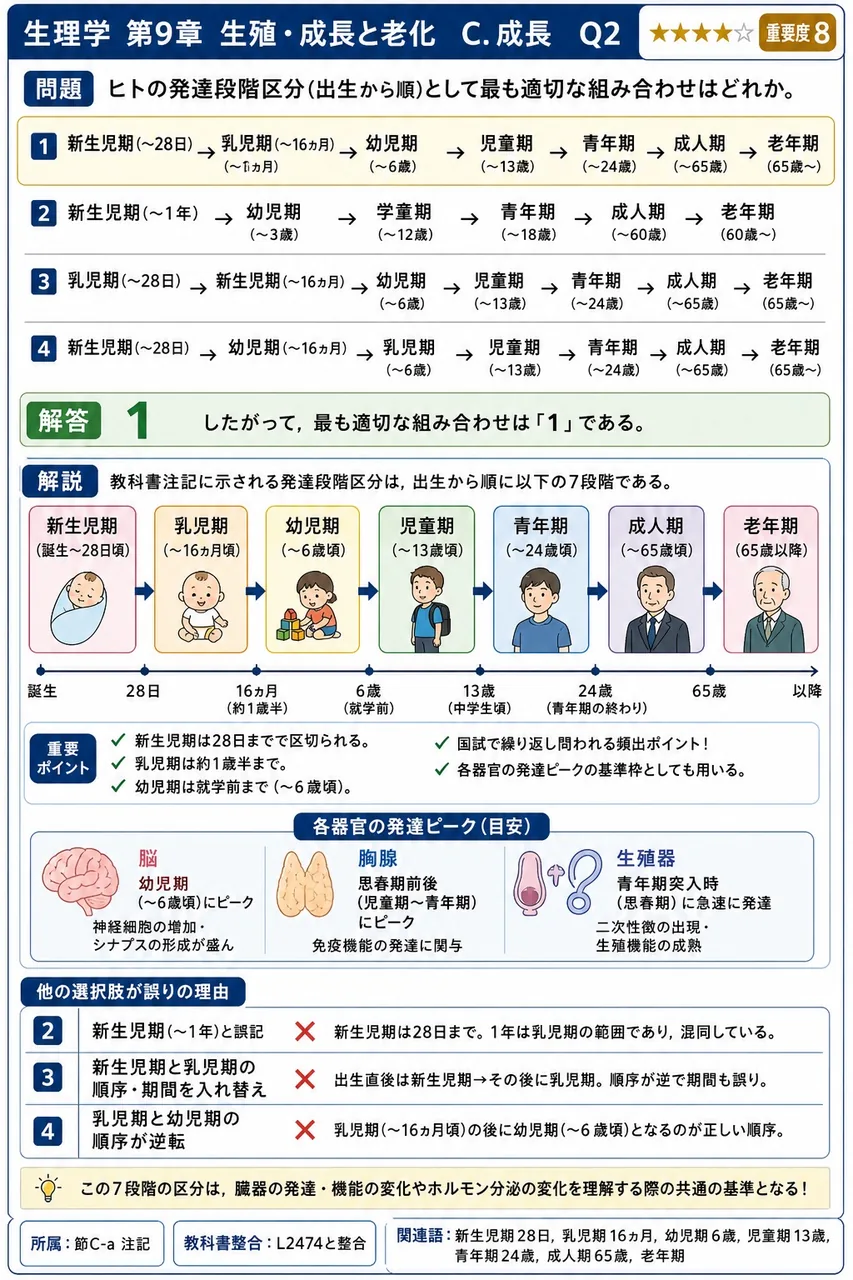 ヒトの発達段階区分(出生から順)として最も適切な組み合わせはどれか。 解説図