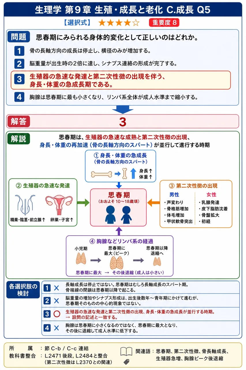思春期にみられる身体的変化として正しいのはどれか。 解説図