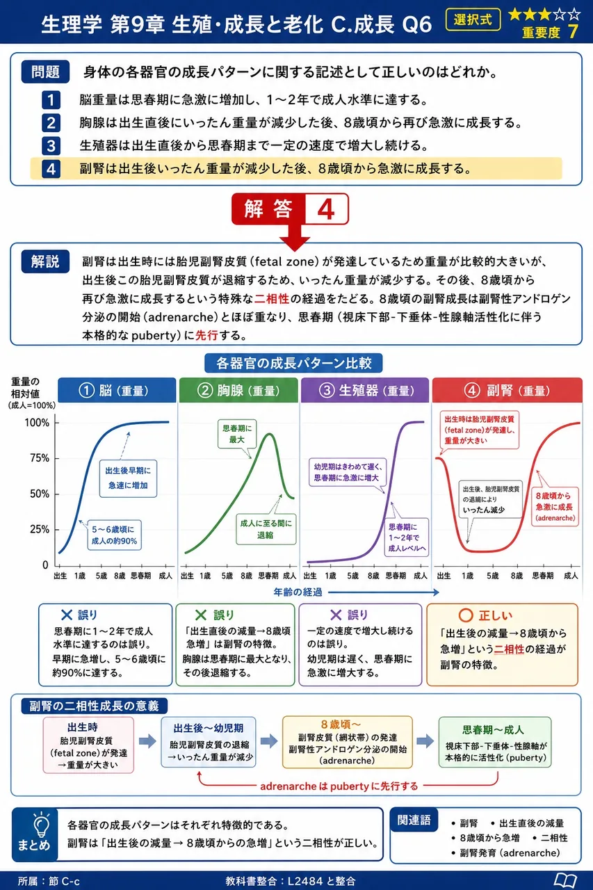 身体の各器官の成長パターンに関する記述として正しいのはどれか。 解説図
