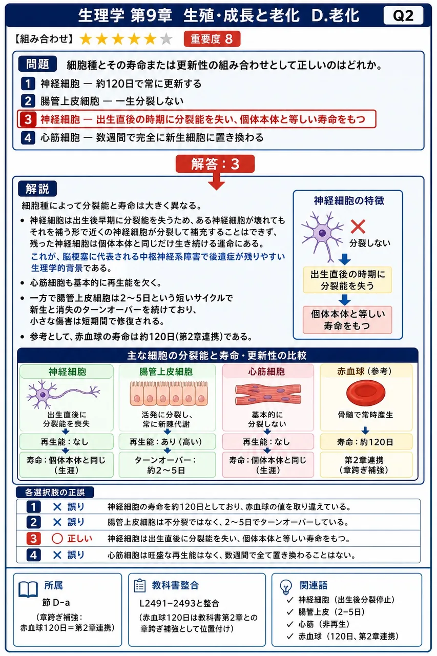 細胞種とその寿命または更新性の組み合わせとして正しいのはどれか。 解説図