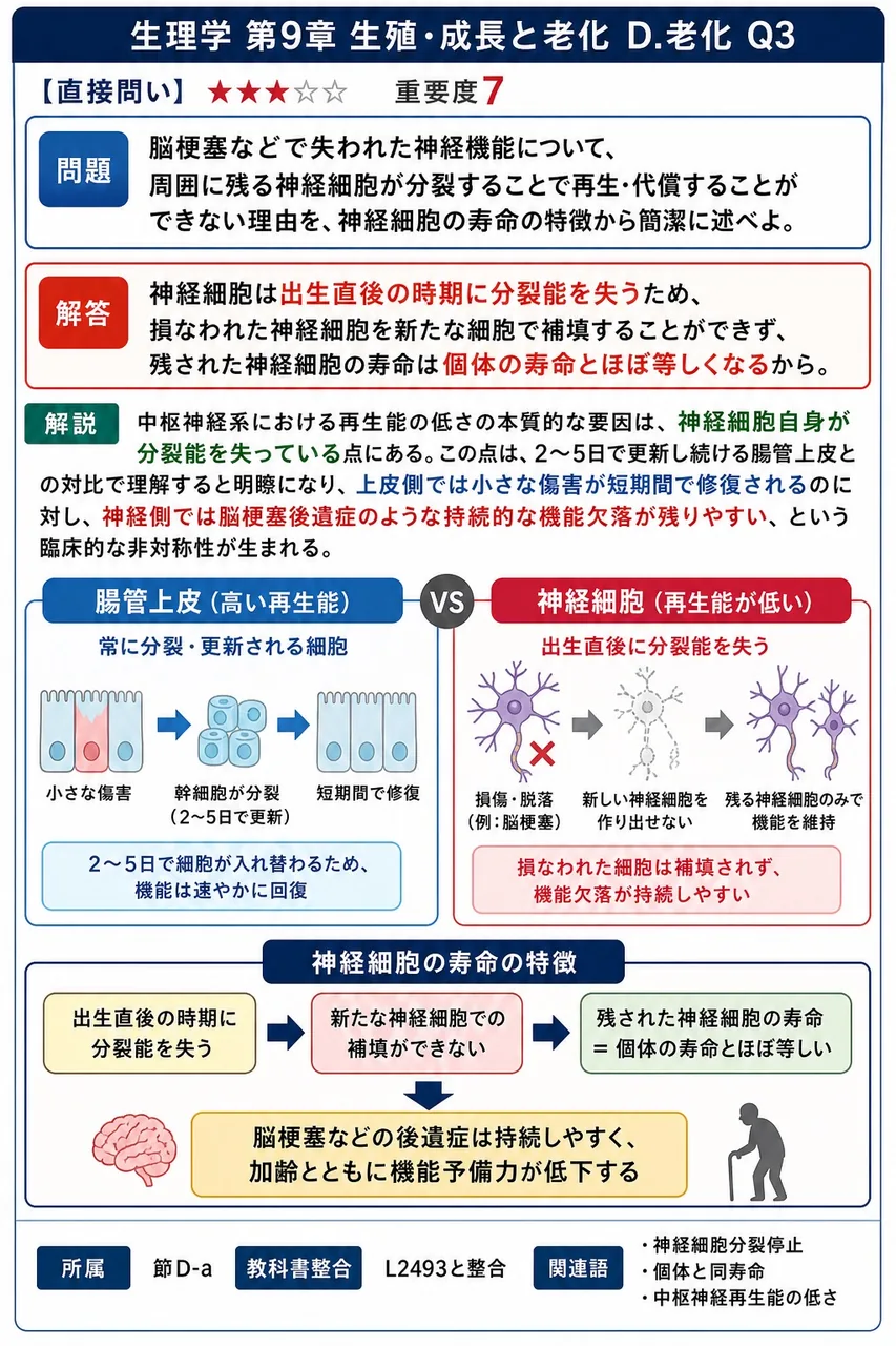 脳梗塞などで失われた神経機能について、周囲に残る神経細胞が分裂することで再生・代償することができない理由を、神経細胞の寿命の特徴から簡潔に述べよ。 解説図