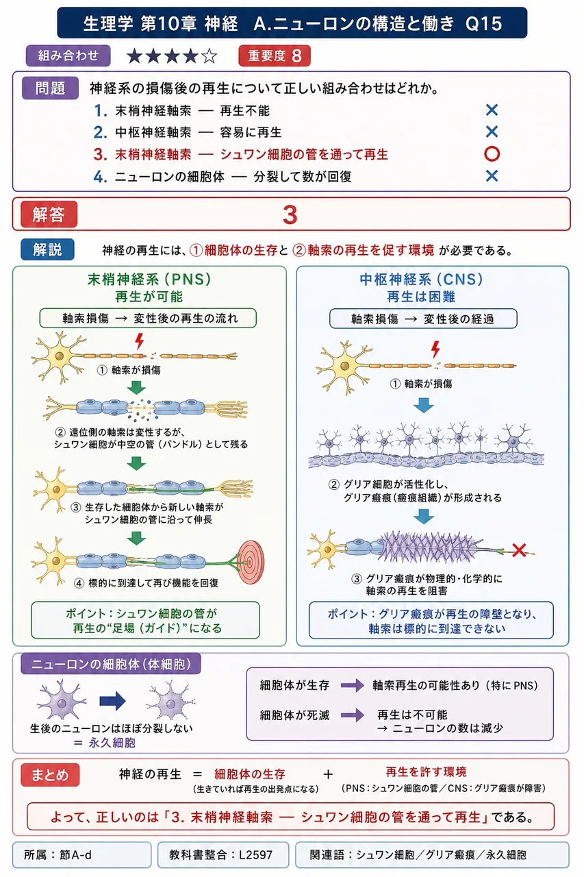 神経系の損傷後の再生について正しい組み合わせはどれか。 解説図