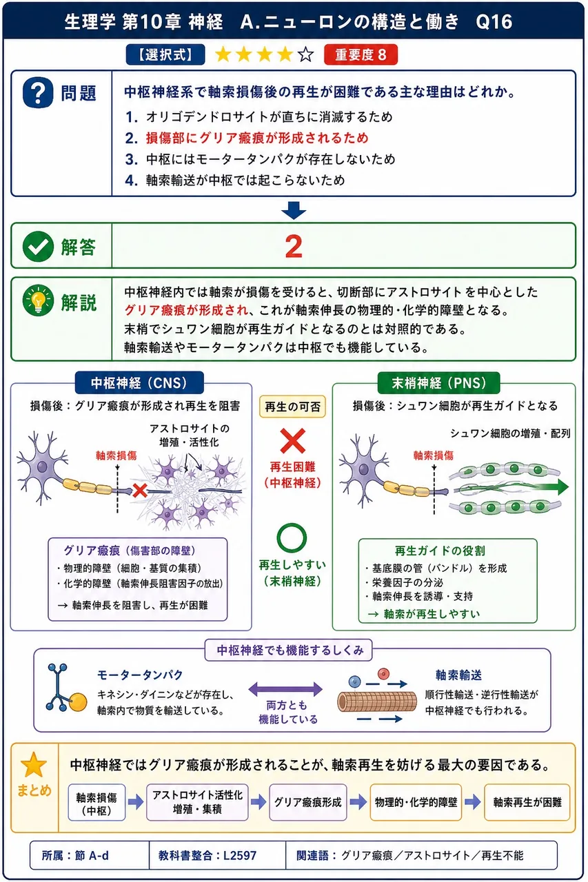 中枢神経系で軸索損傷後の再生が困難である主な理由はどれか。 解説図