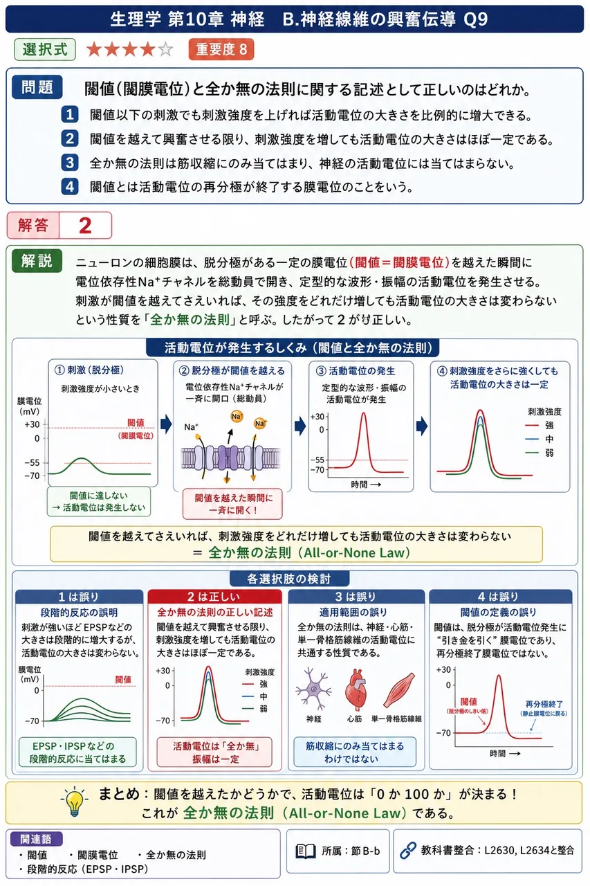 閾値(閾膜電位)と全か無の法則に関する記述として正しいのはどれか。 解説図