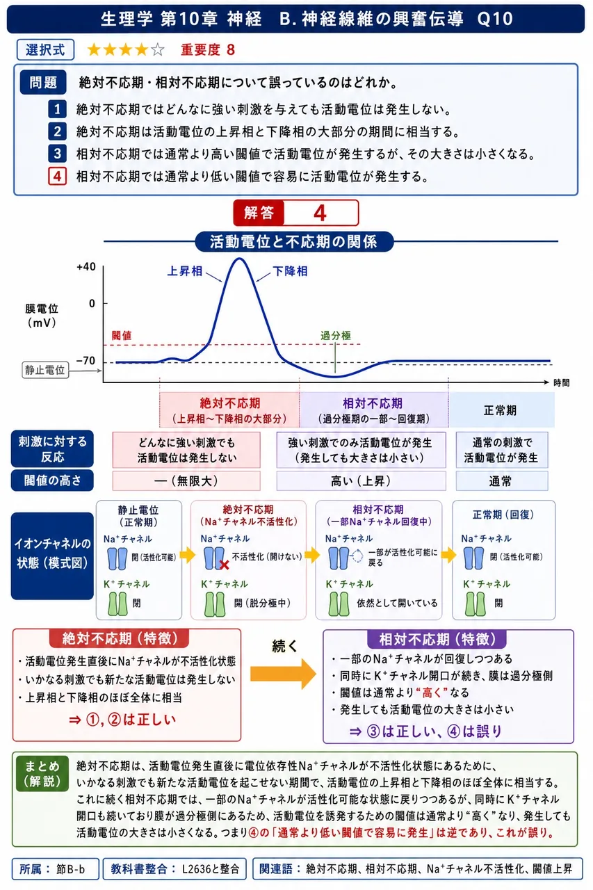 絶対不応期・相対不応期について誤っているのはどれか。 解説図