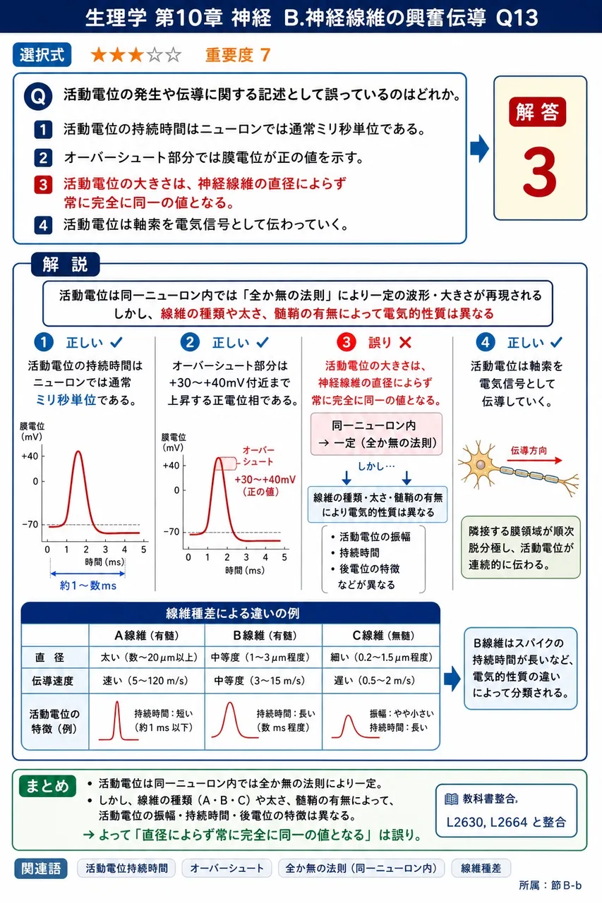 活動電位の発生や伝導に関する記述として誤っているのはどれか。 解説図