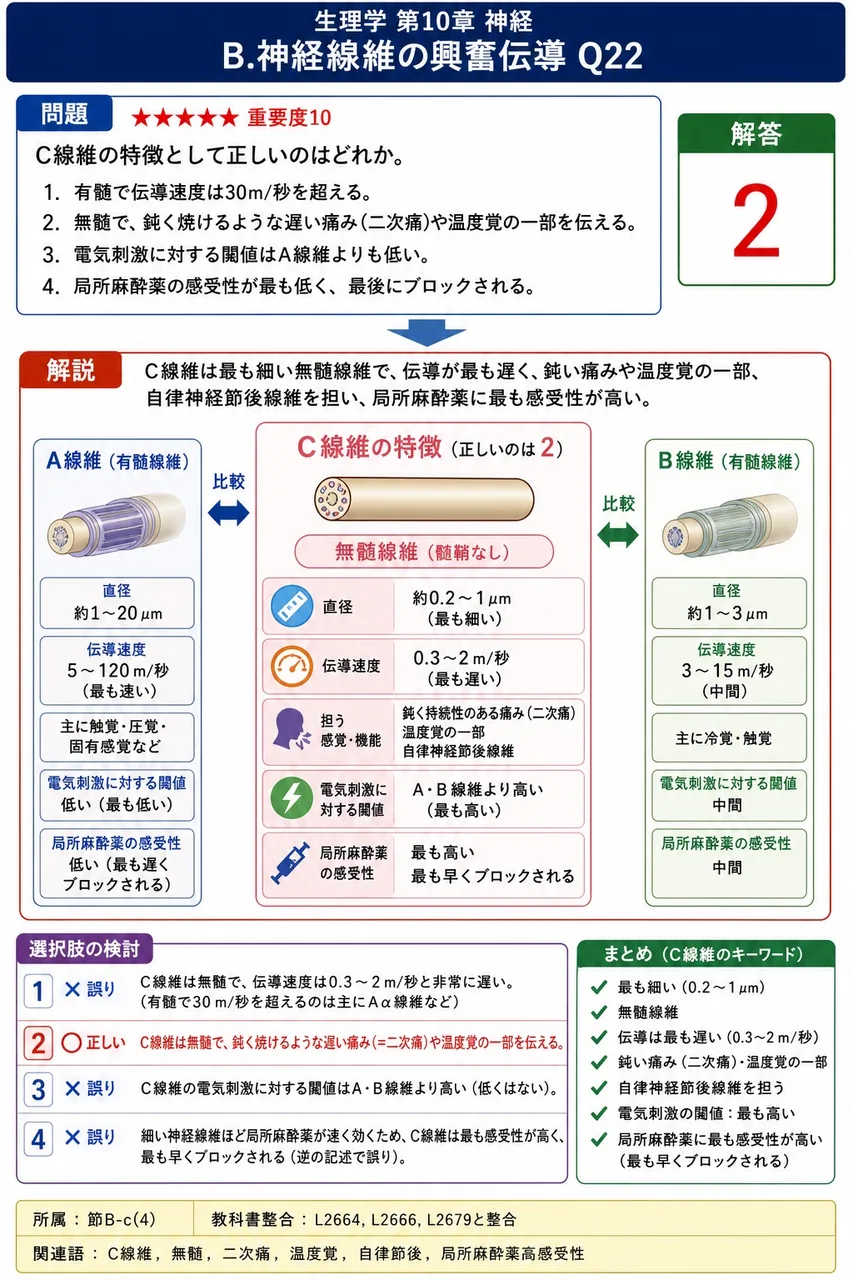 C線維の特徴として正しいのはどれか。 解説図