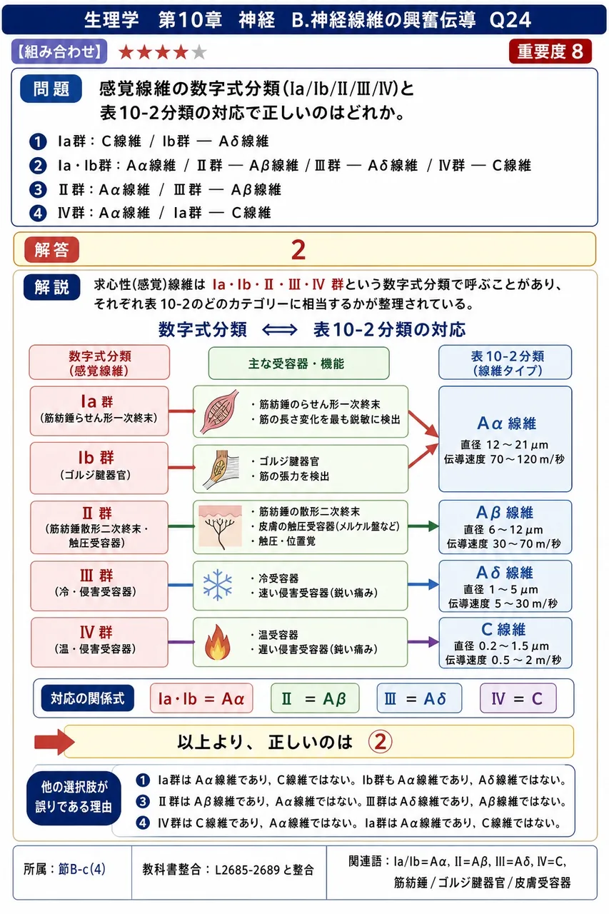 感覚線維の数字式分類(Ia/Ib/II/III/IV)と表10-2分類の対応で正しいのはどれか。 解説図