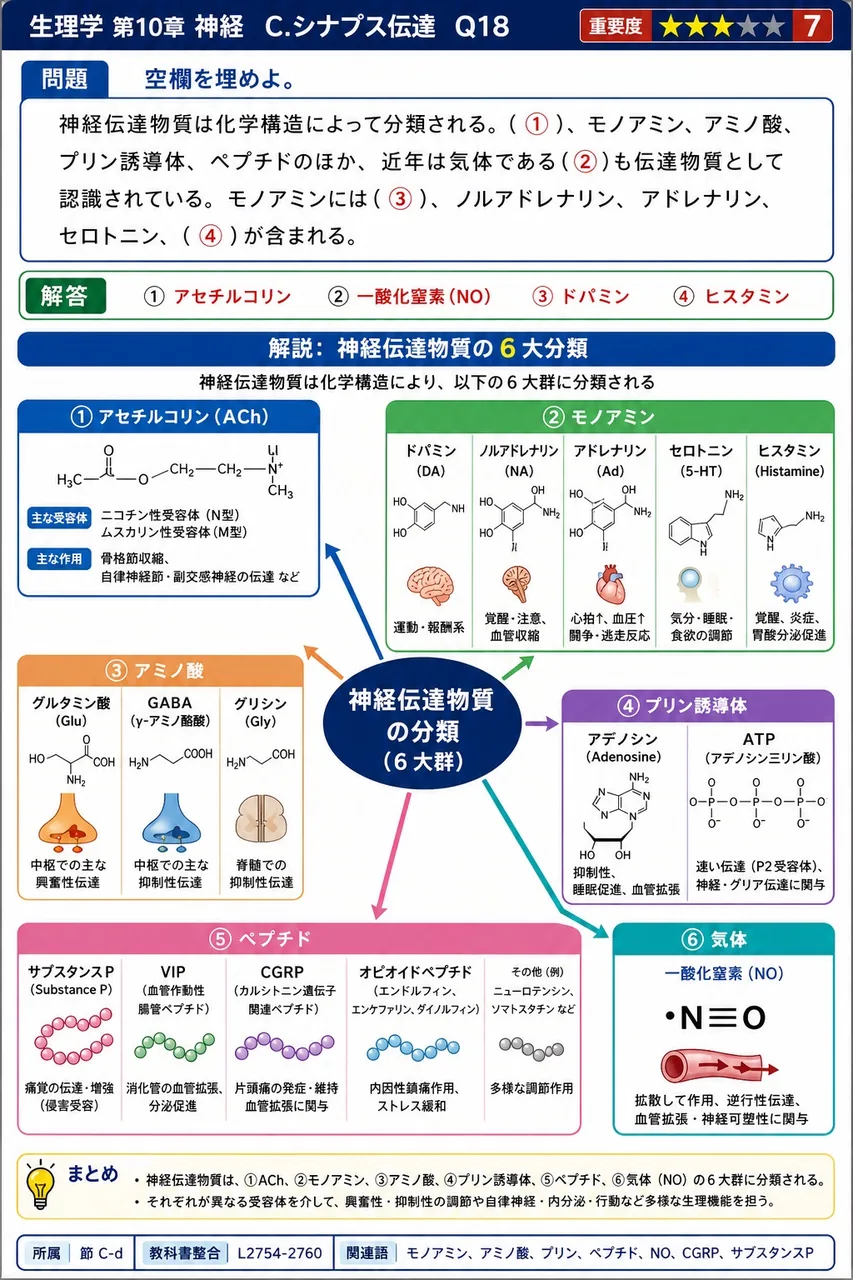 空欄を埋めよ。 神経伝達物質は化学構造によって分類される。(①)、モノアミン、アミノ酸、プリン誘導体、ペプチドのほか、近年は気体である(②)も伝達物質として認識されている。モノアミンには(③)、ノルアドレナリン、アドレナリン、セロトニン、(④)が含まれる。 解説図