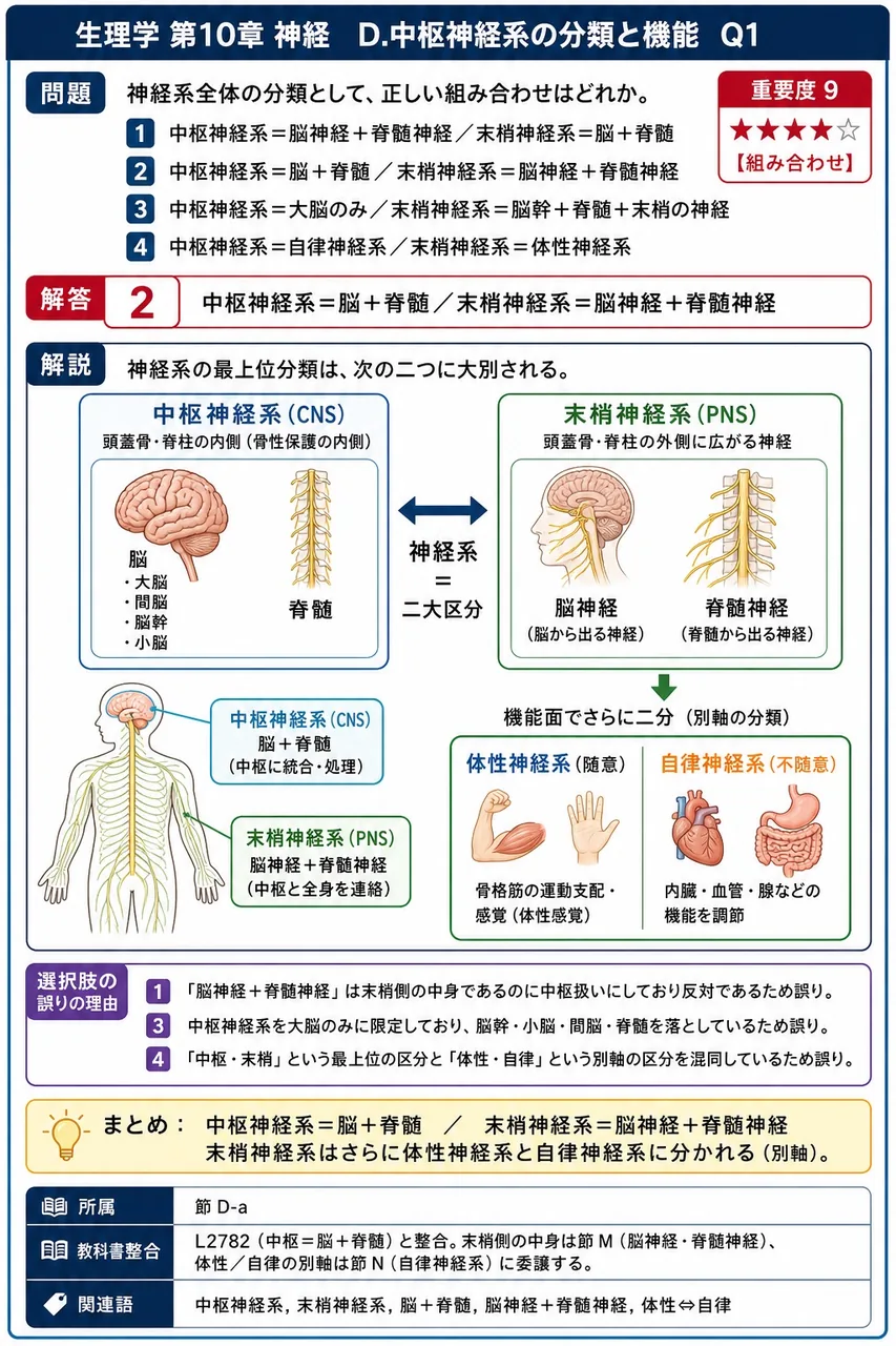 神経系全体の分類として、正しい組み合わせはどれか。 解説図