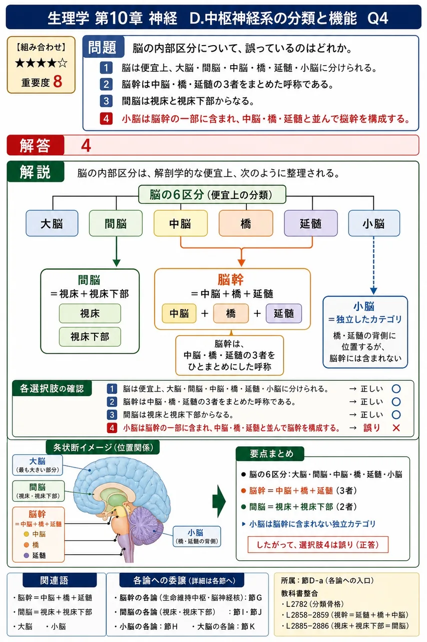 脳の内部区分について、誤っているのはどれか。 解説図