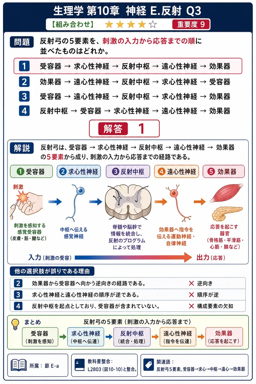 反射弓の5要素を、刺激の入力から応答までの順に並べたものはどれか。 解説図