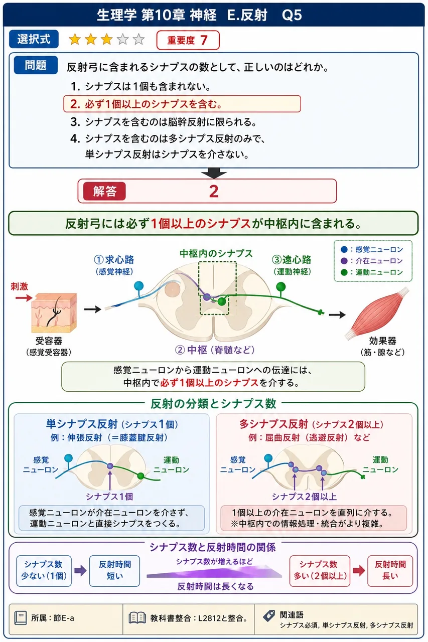 反射弓に含まれるシナプスの数として、正しいのはどれか。 解説図