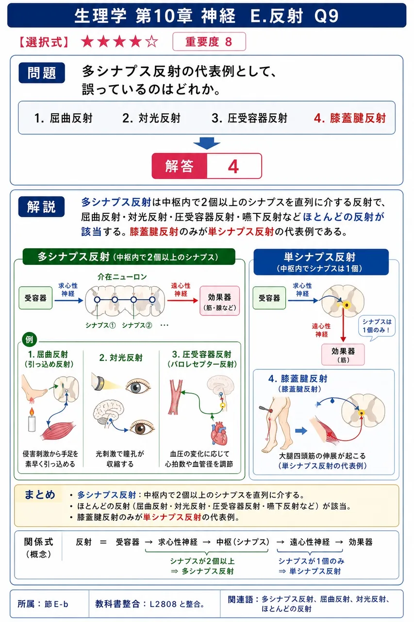 多シナプス反射の代表例として、誤っているのはどれか。 解説図
