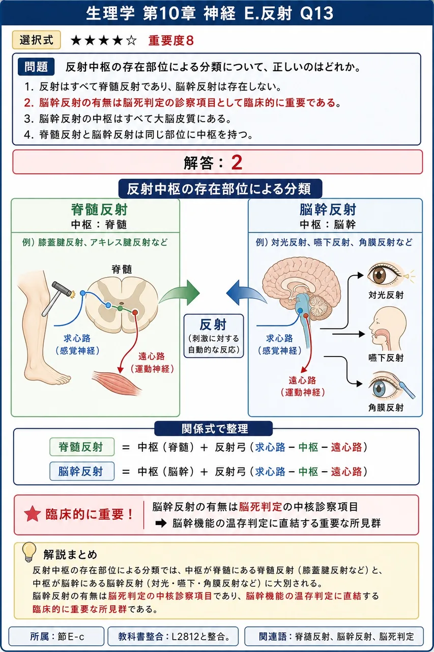反射中枢の存在部位による分類について、正しいのはどれか。 解説図