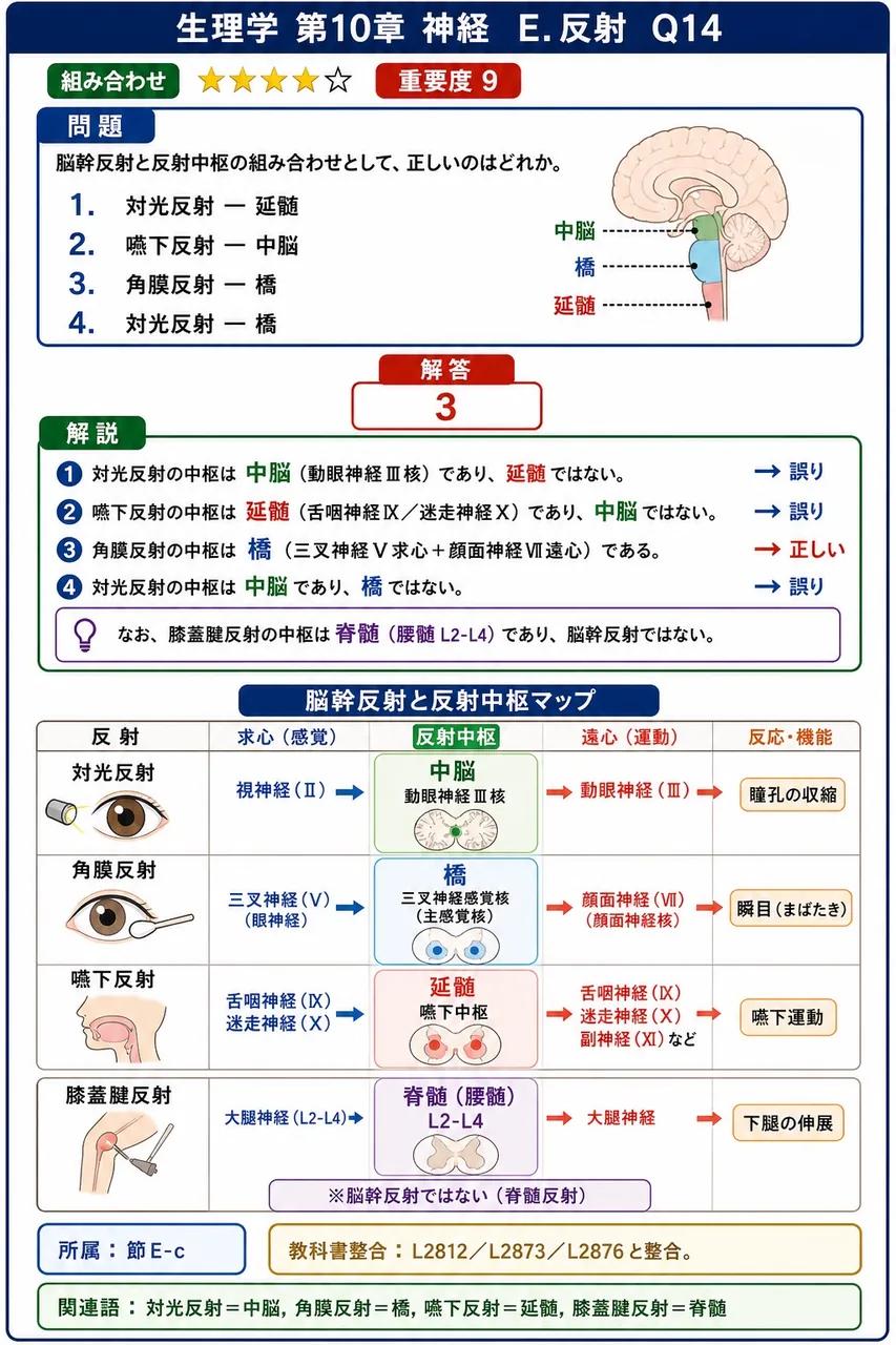 脳幹反射と反射中枢の組み合わせとして、正しいのはどれか。 解説図