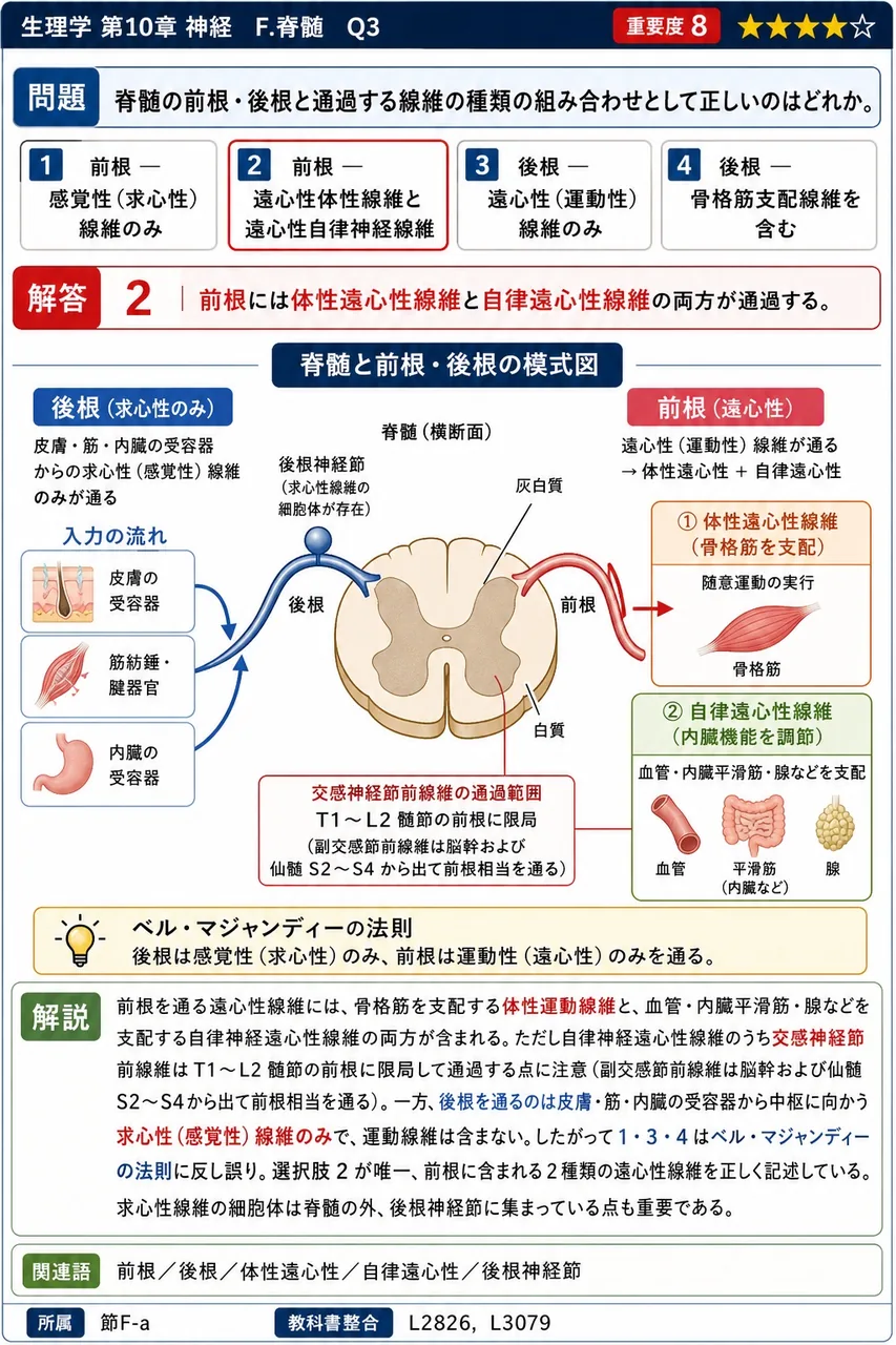 脊髄の前根・後根と通過する線維の種類の組み合わせとして正しいのはどれか。 解説図