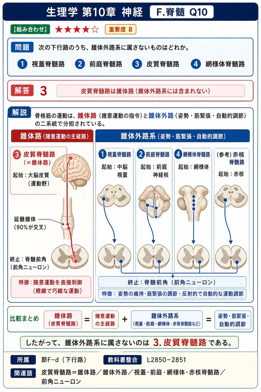 次の下行路のうち、錐体外路系に属さないものはどれか。 解説図