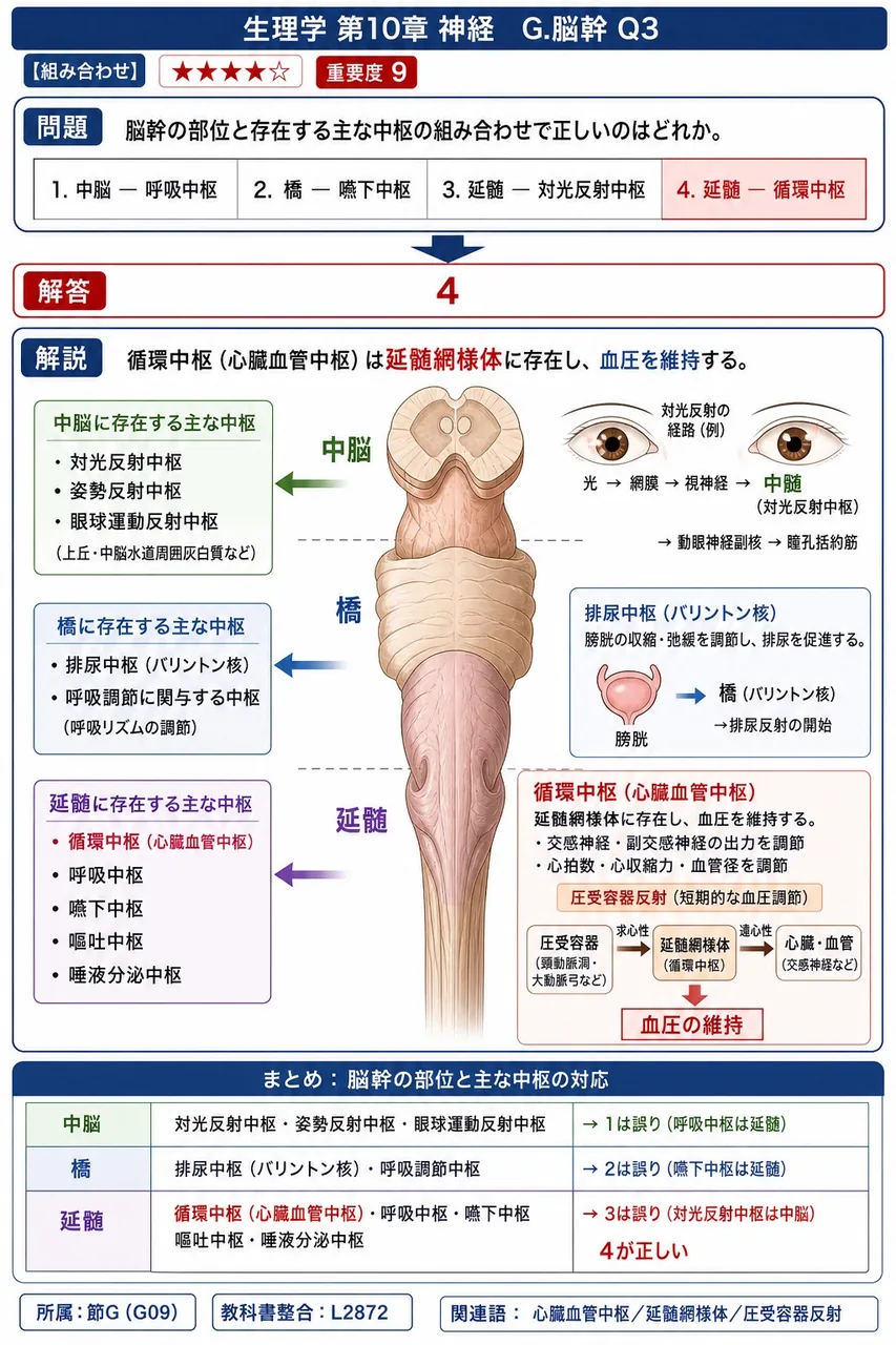 脳幹の部位と存在する主な中枢の組み合わせで正しいのはどれか。 解説図