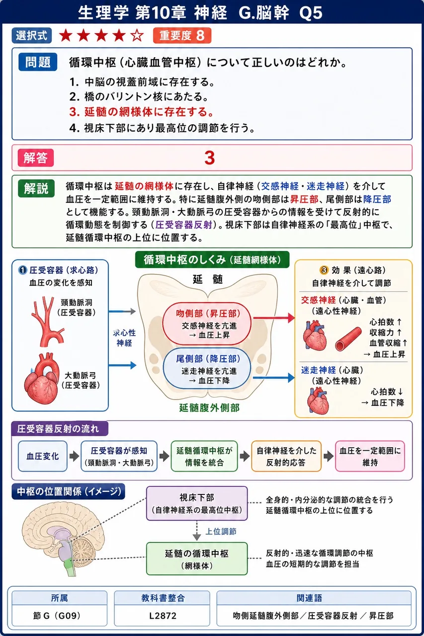 循環中枢(心臓血管中枢)について正しいのはどれか。 解説図