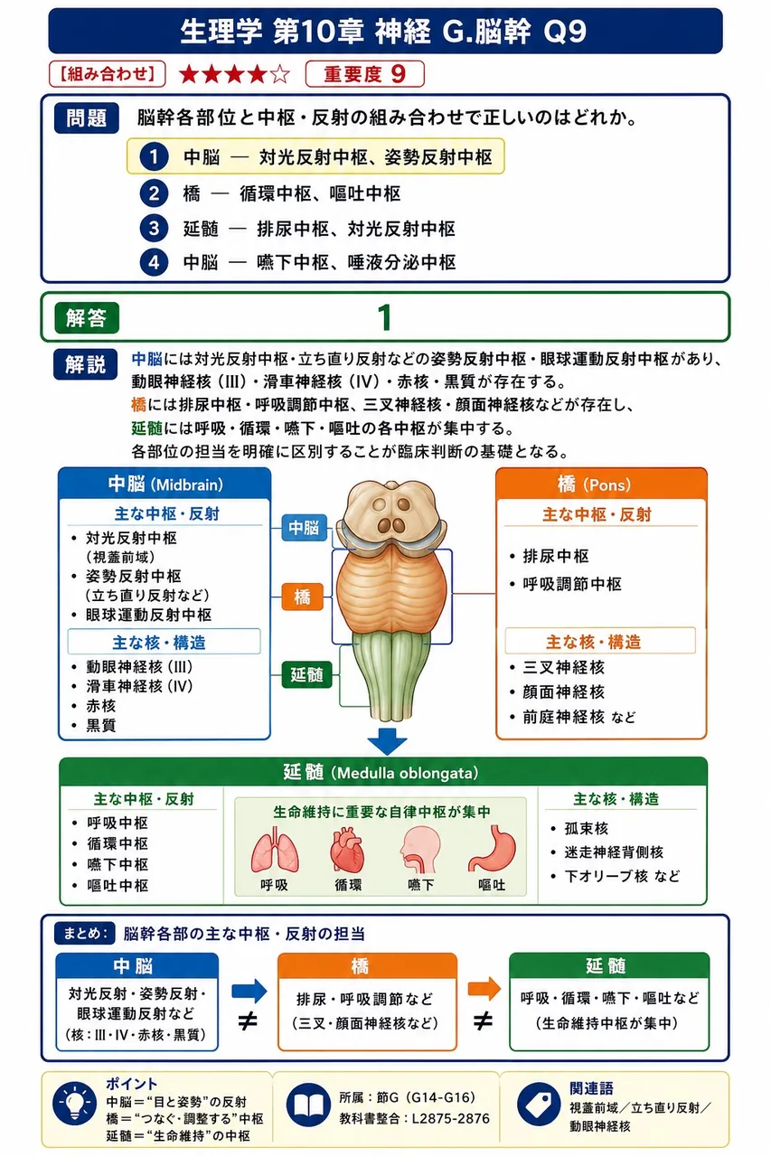 脳幹各部位と中枢・反射の組み合わせで正しいのはどれか。 解説図