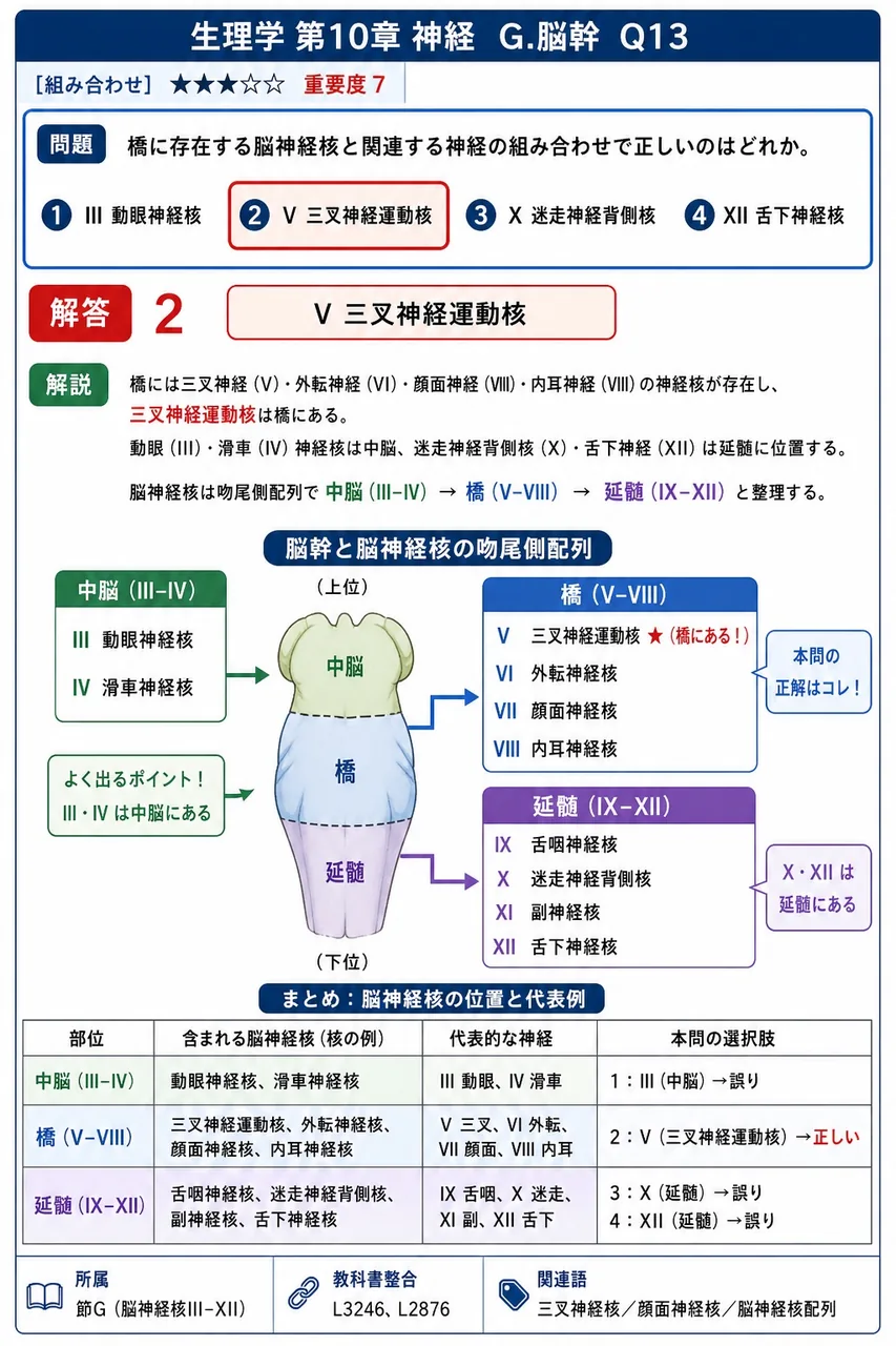 橋に存在する脳神経核と関連する神経の組み合わせで正しいのはどれか。 解説図