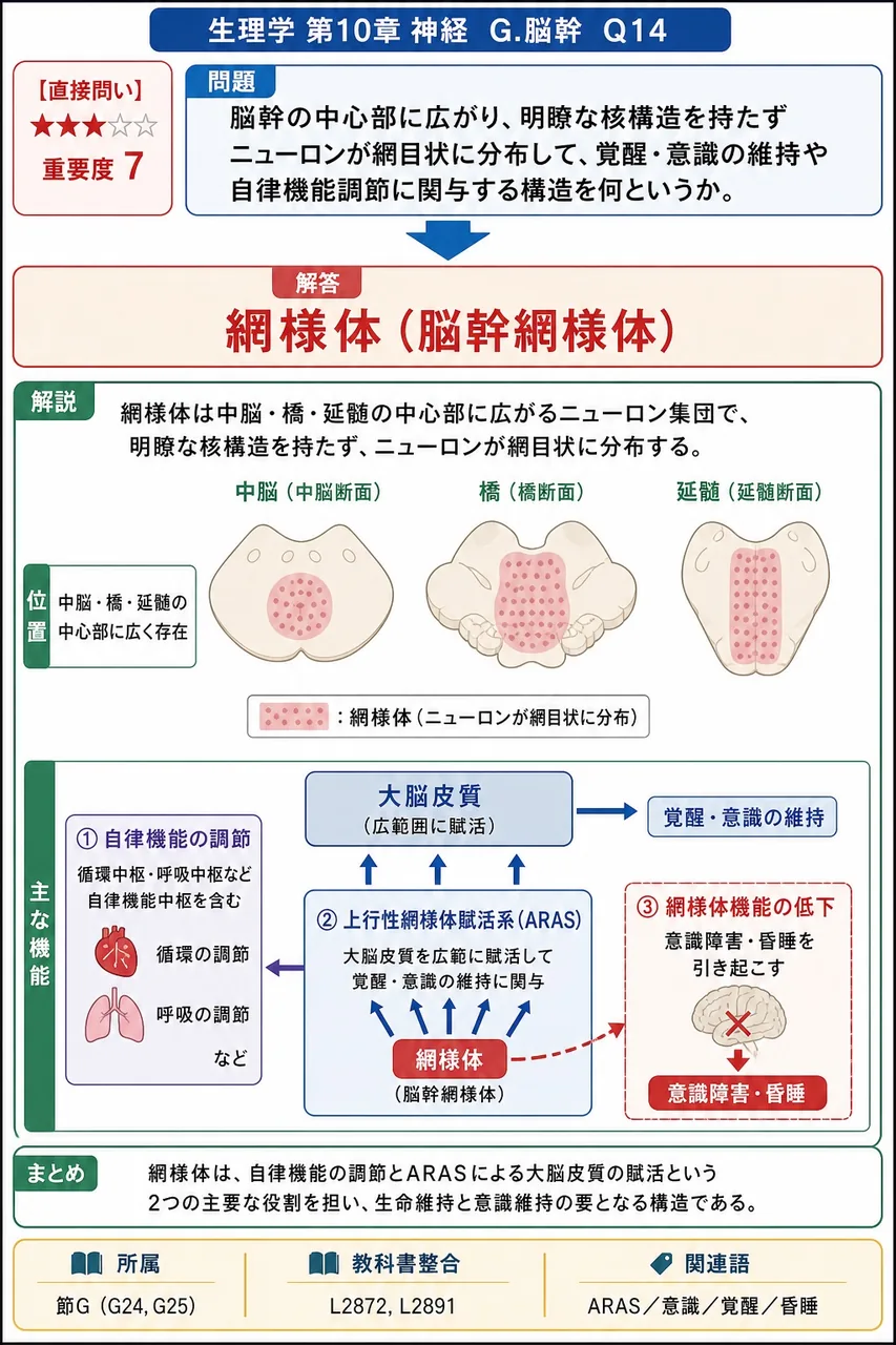 脳幹の中心部に広がり、明瞭な核構造を持たずニューロンが網目状に分布して、覚醒・意識の維持や自律機能調節に関与する構造を何というか。 解説図