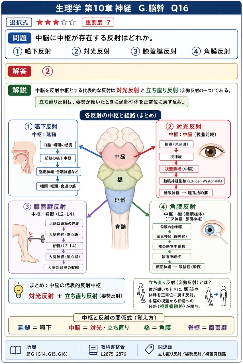 中脳に中枢が存在する反射はどれか。 解説図