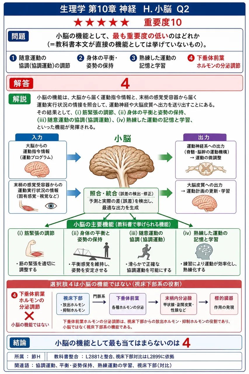 小脳の機能として、**最も重要度の低い**のはどれか(=教科書本文が直接の機能としては挙げていないもの)。 解説図