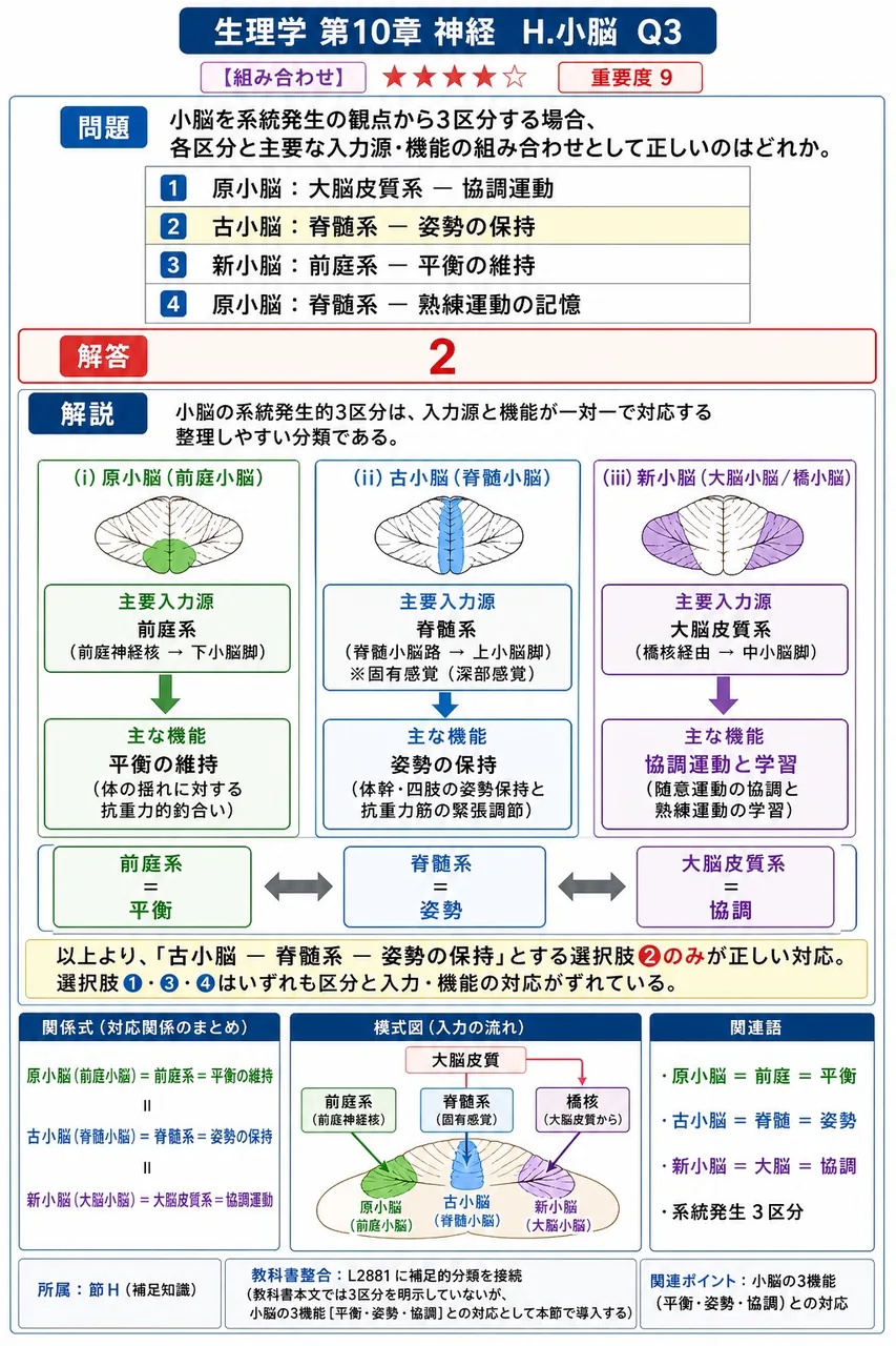 小脳を系統発生の観点から3区分する場合、各区分と主要な入力源・機能の組み合わせとして正しいのはどれか。 解説図