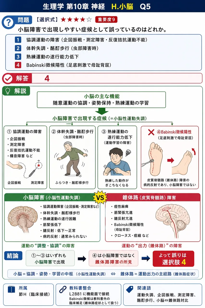 小脳障害で出現しやすい症候として**誤っている**のはどれか。 解説図