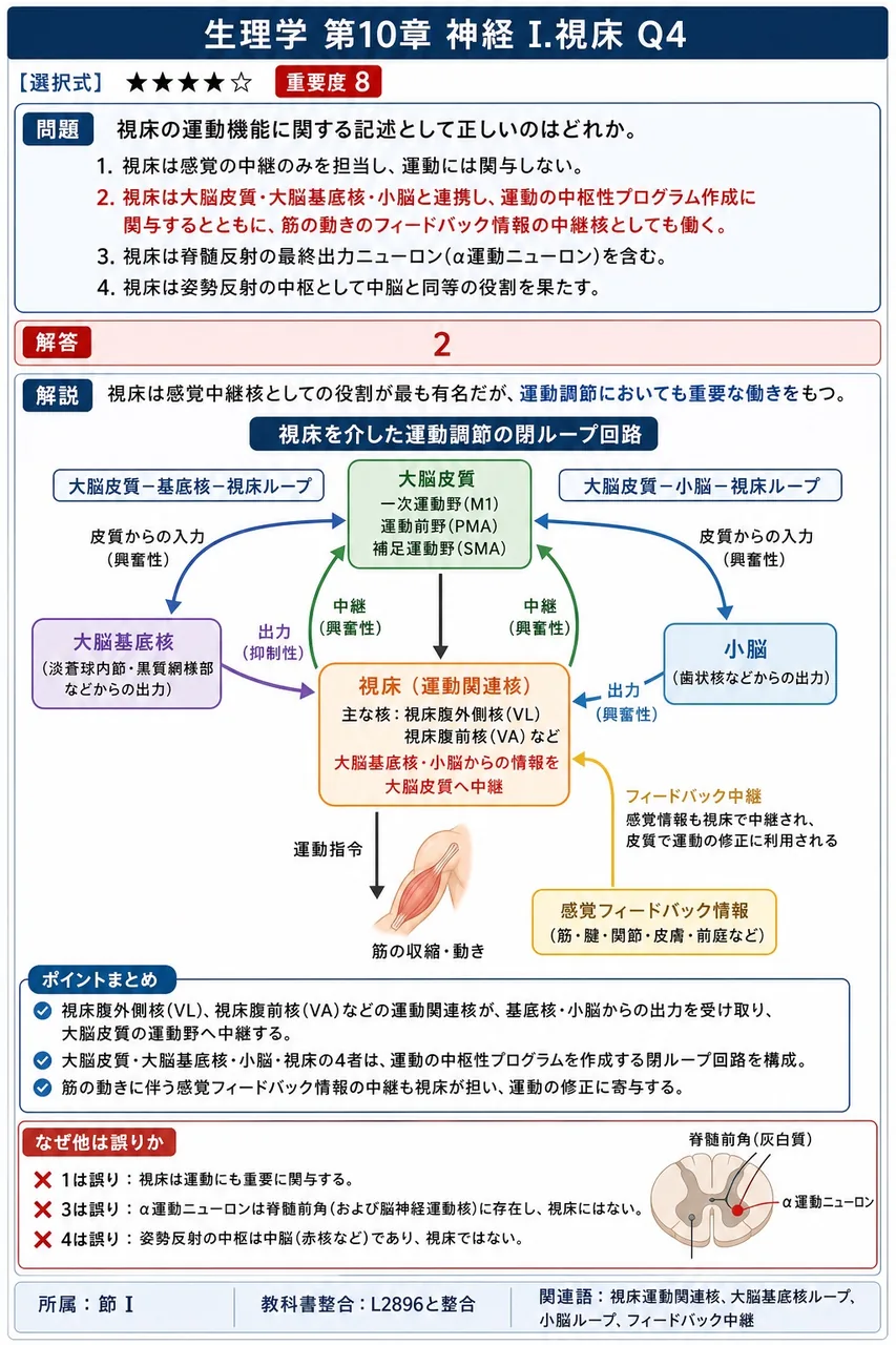 視床の運動機能に関する記述として正しいのはどれか。 解説図