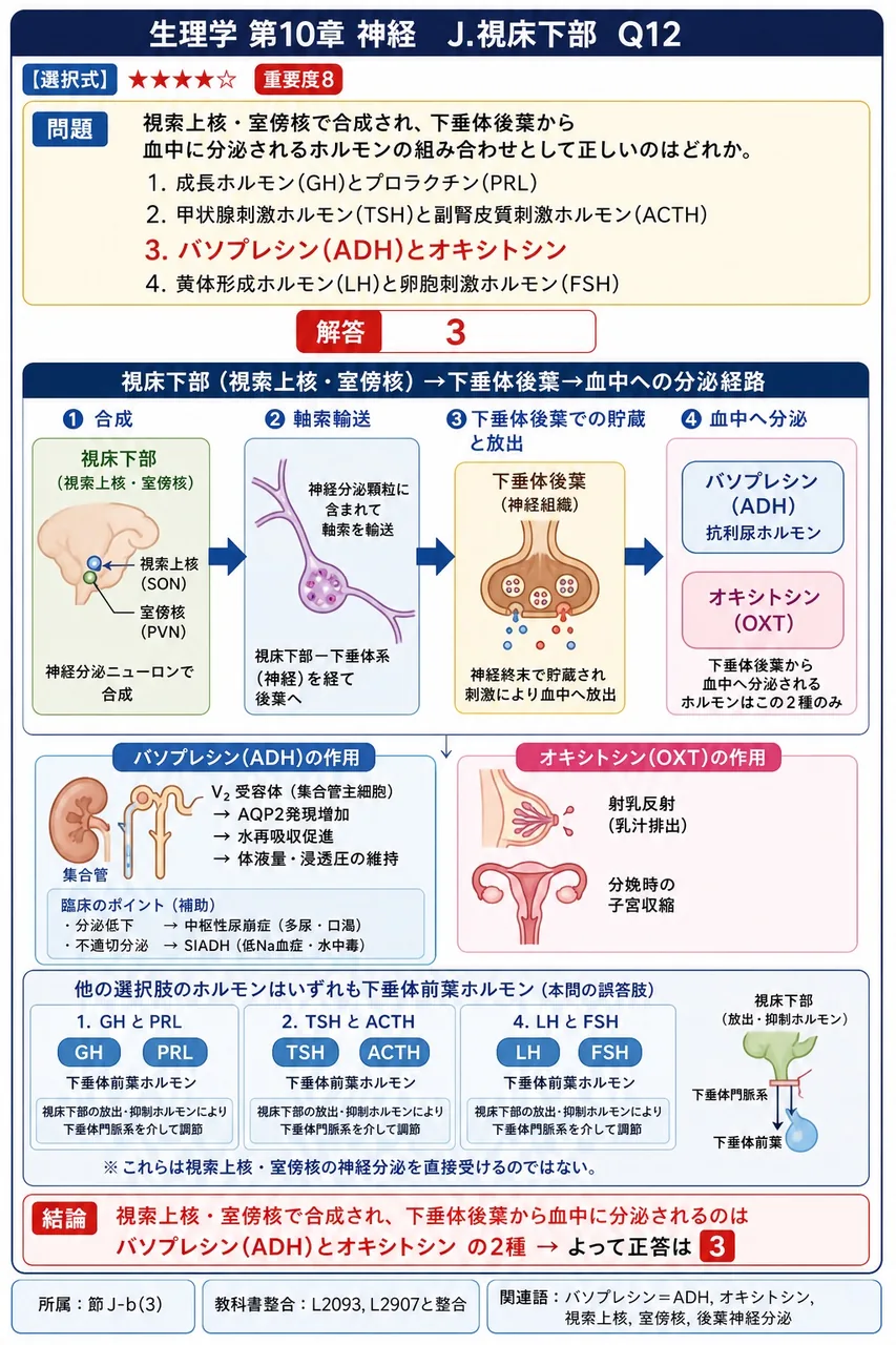 視索上核・室傍核で合成され、下垂体後葉から血中に分泌されるホルモンの組み合わせとして正しいのはどれか。 解説図