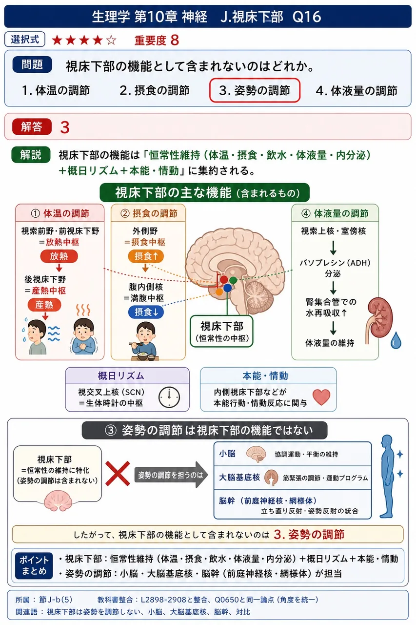 視床下部の機能として含まれないのはどれか。 解説図