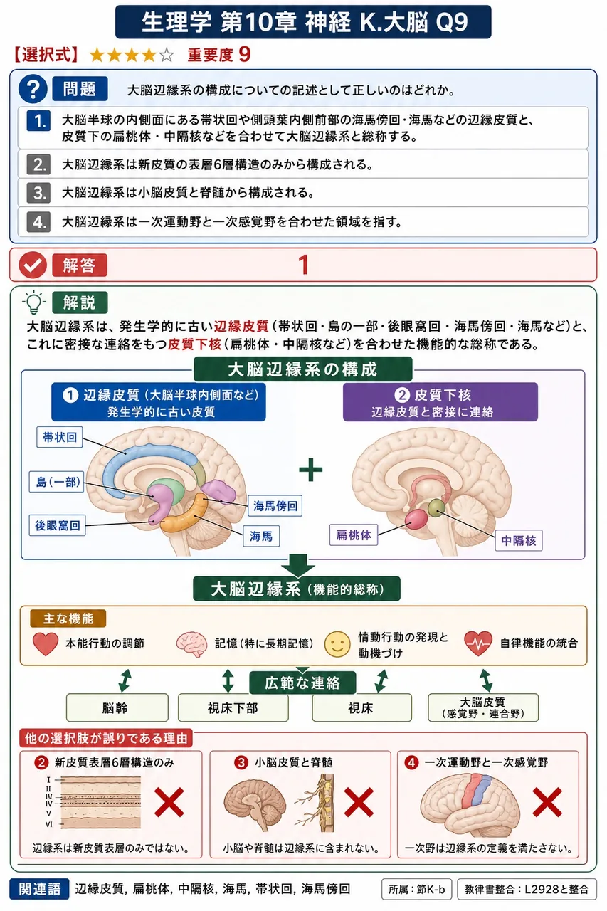 大脳辺縁系の構成についての記述として正しいのはどれか。 解説図