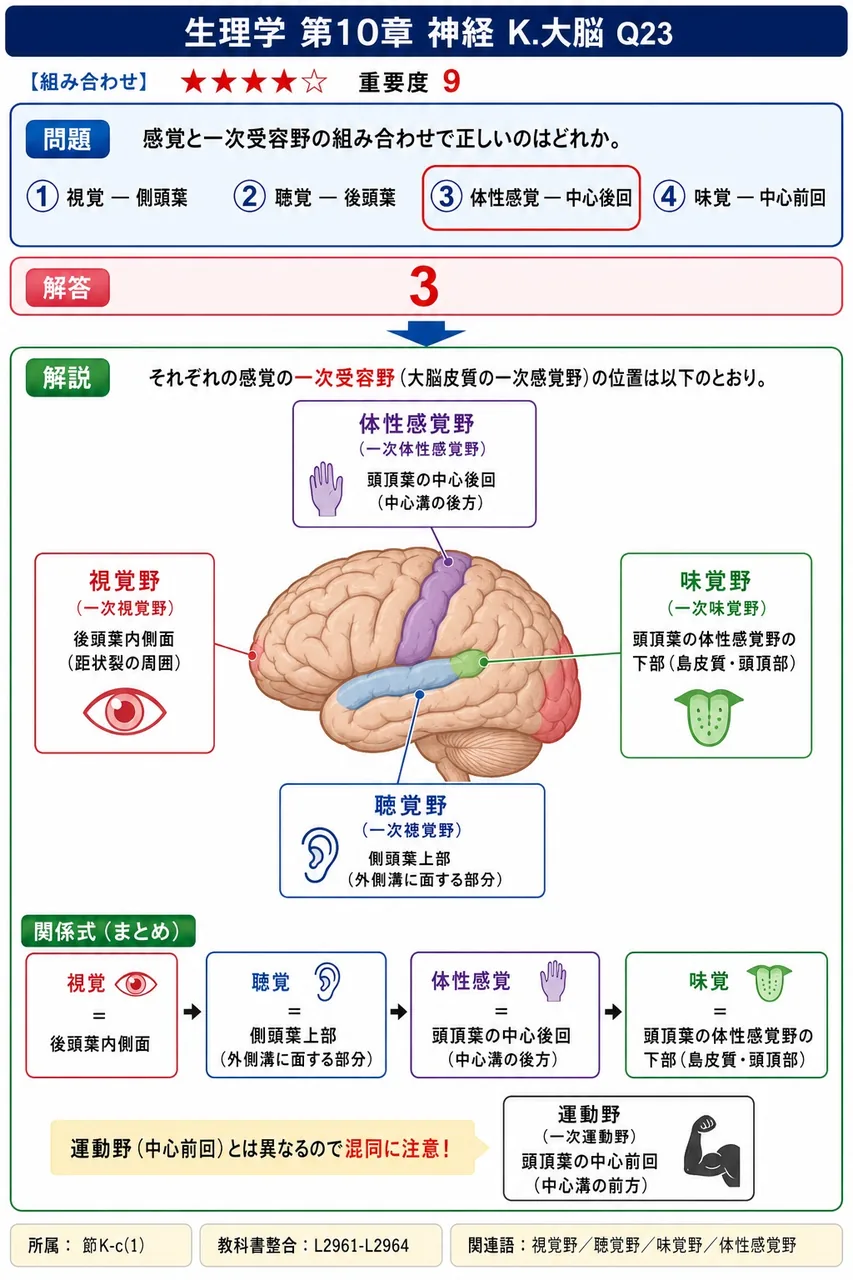 感覚と一次受容野の組み合わせで正しいのはどれか。 解説図