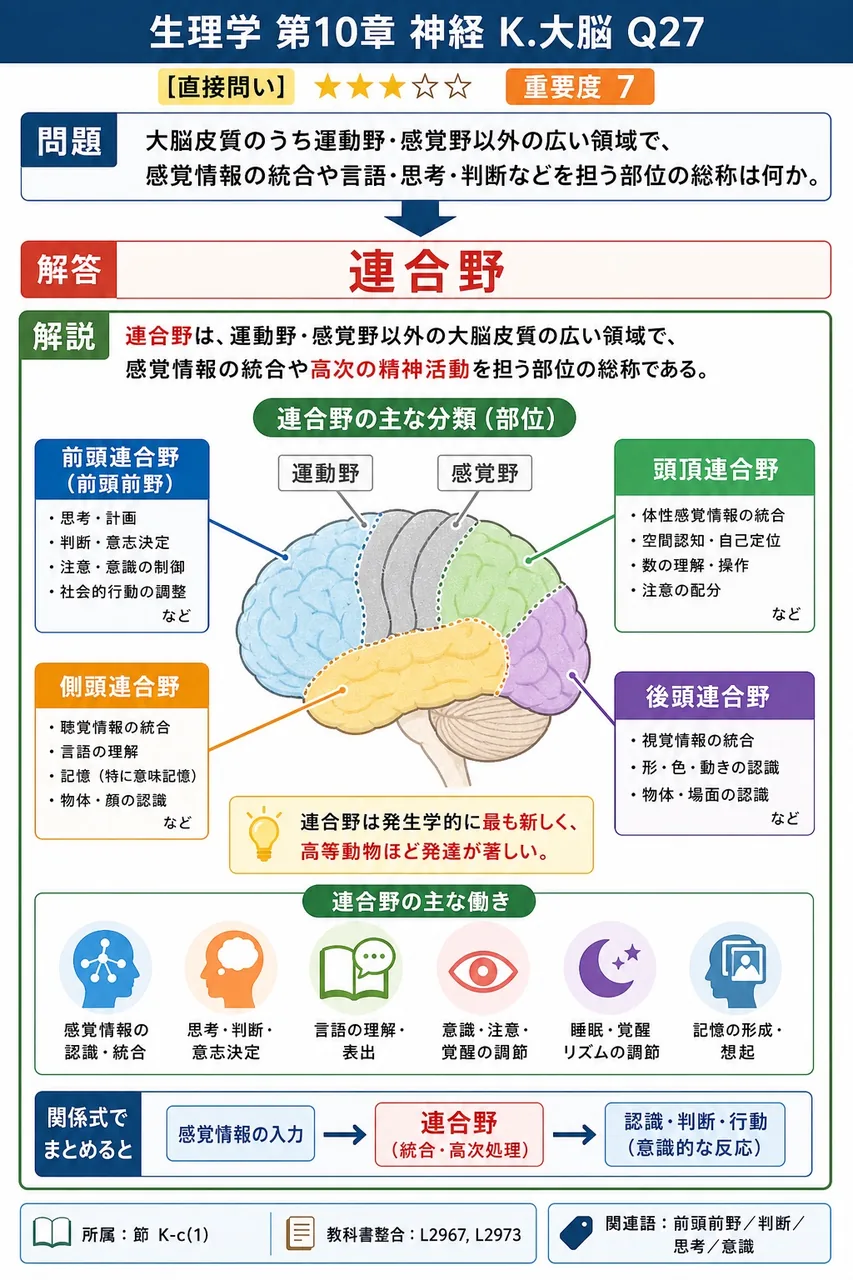 大脳皮質のうち運動野・感覚野以外の広い領域で、感覚情報の統合や言語・思考・判断などを担う部位の総称は何か。 解説図