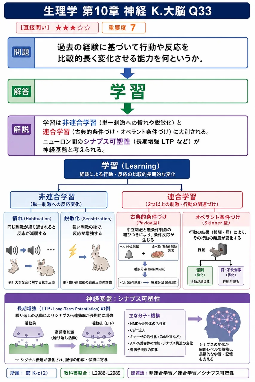 過去の経験に基づいて行動や反応を比較的長く変化させる能力を何というか。 解説図