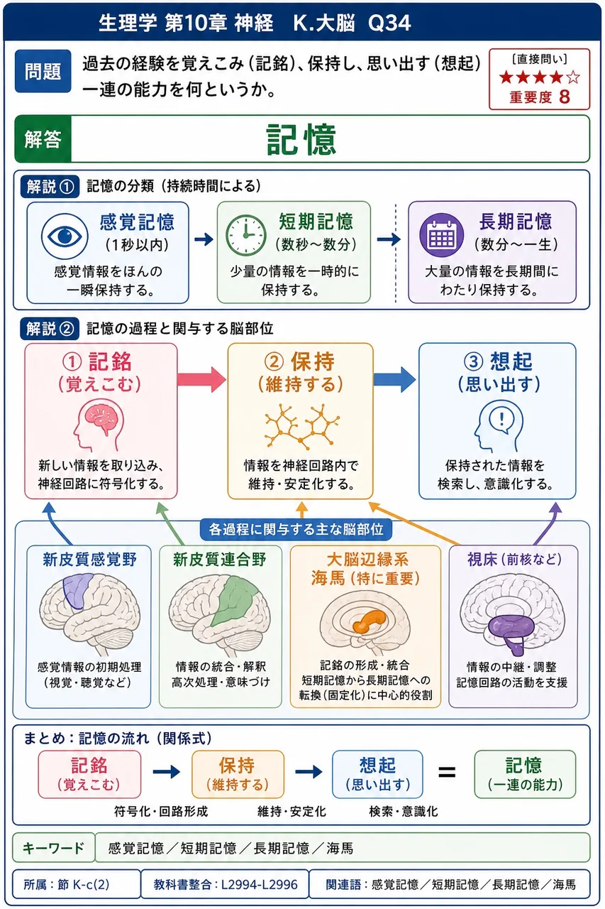 過去の経験を覚えこみ（記銘）、保持し、思い出す（想起）一連の能力を何というか。 解説図